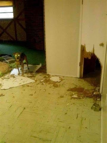 The Real Reason for Home Insurance