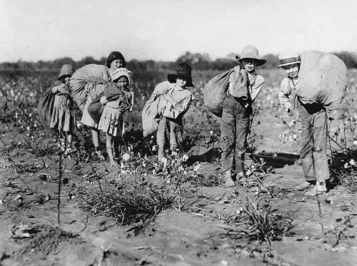 Child Labor in Cotton Fields