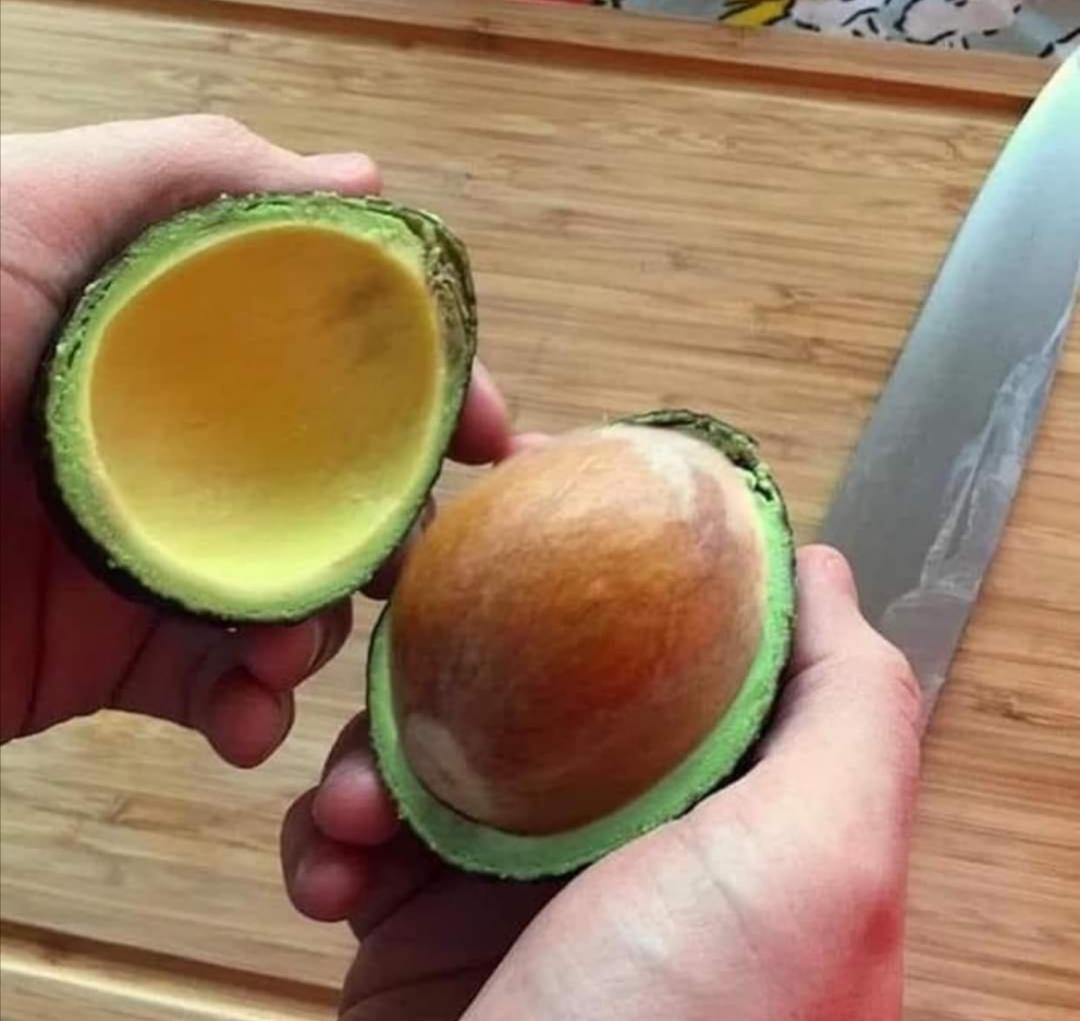 "You'll work for it and still get nothing"