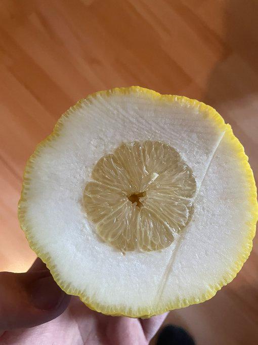 Mother Nature delivered pure disappointment.