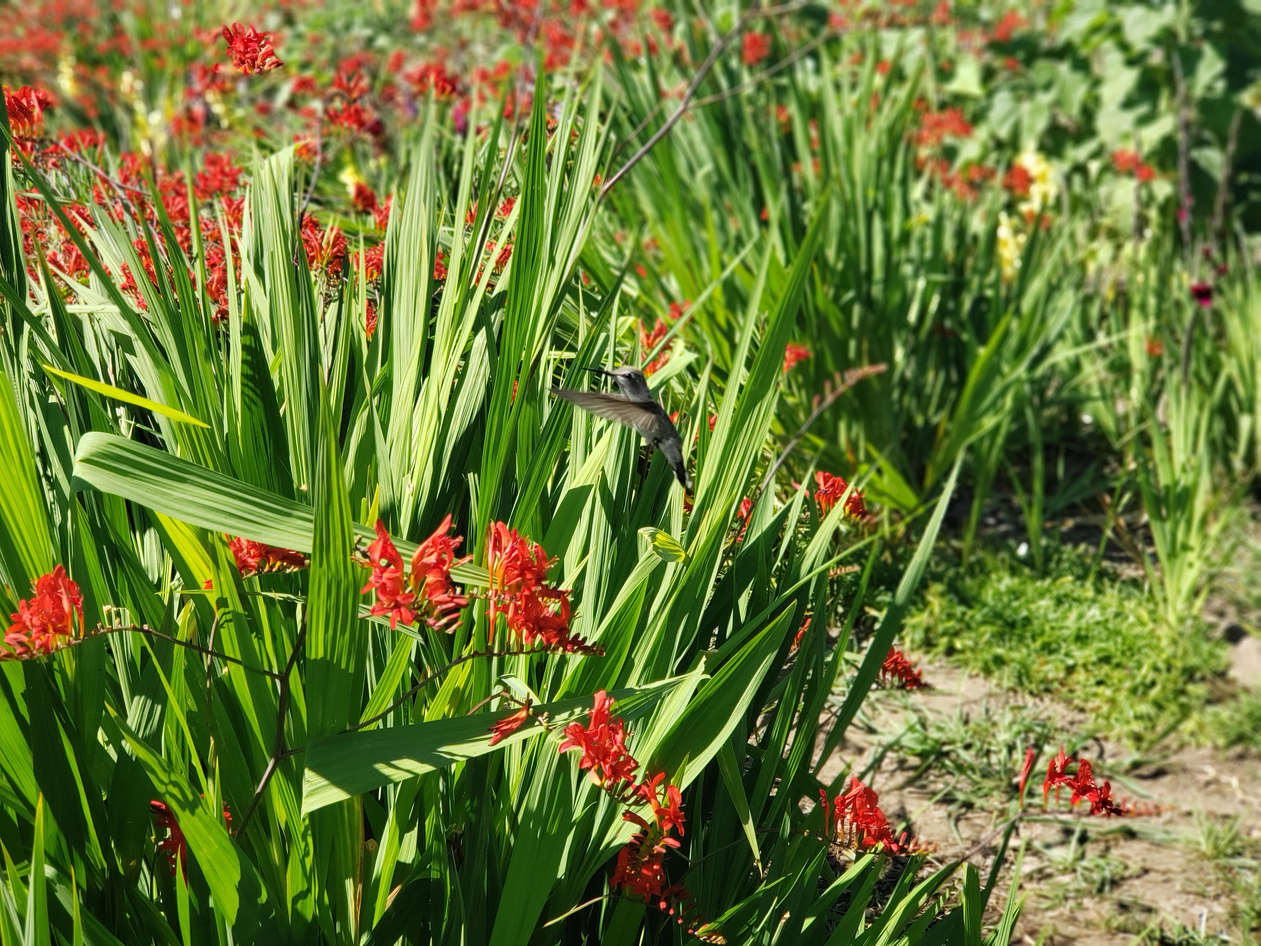 This little guy appeared in the middle of the pic.