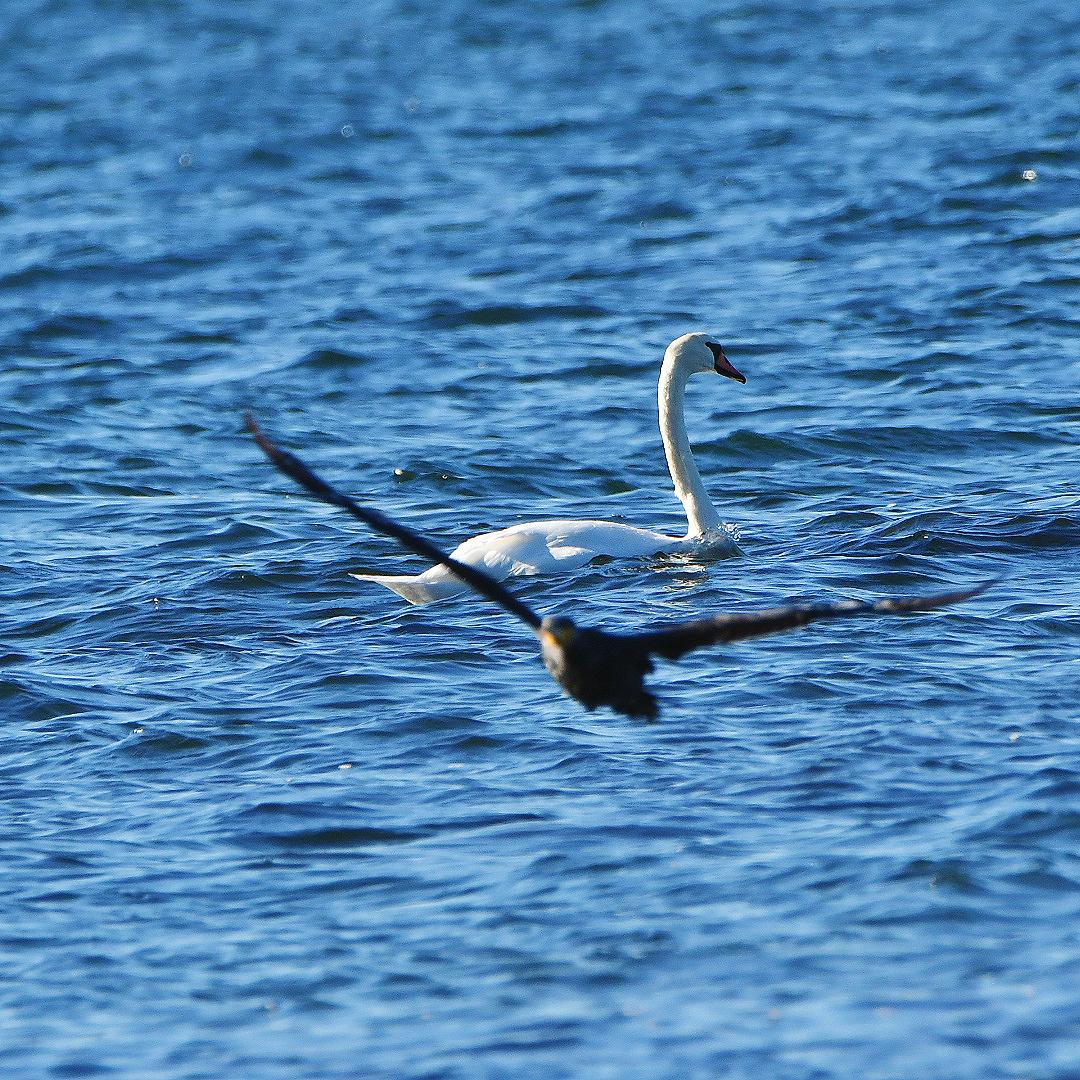 Perfect timing meets optical illusion.