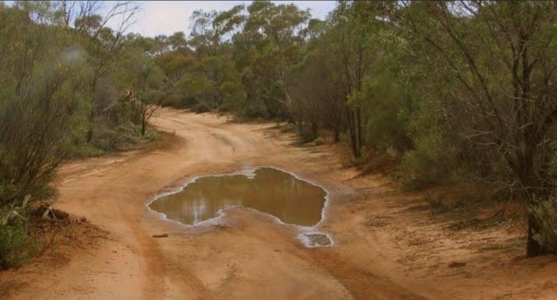 Puddle in the road