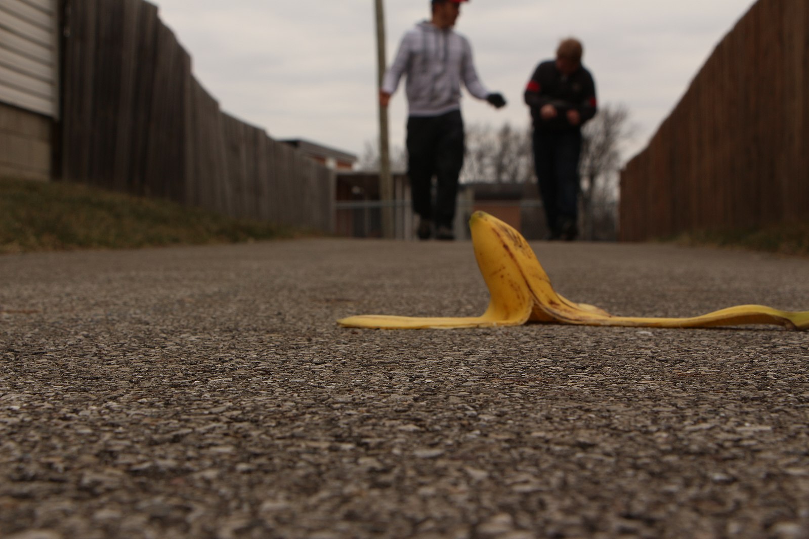 Banana peel