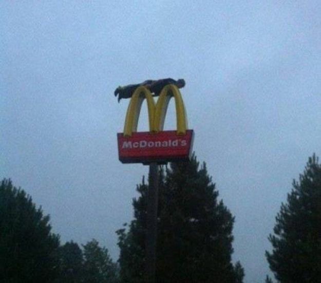 Planking: McDeath Edition
