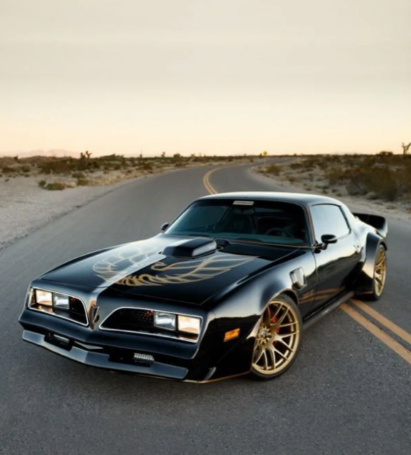 1977 Pontiac Firebird Trans Am