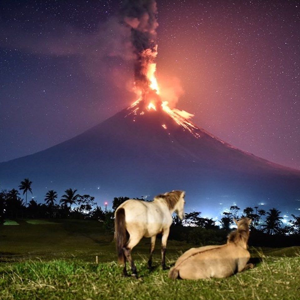 Equestrian Apocalypse
