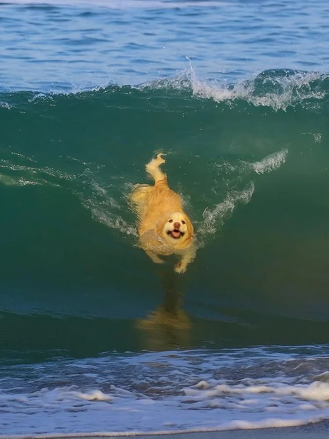 Vibing too hard to care.