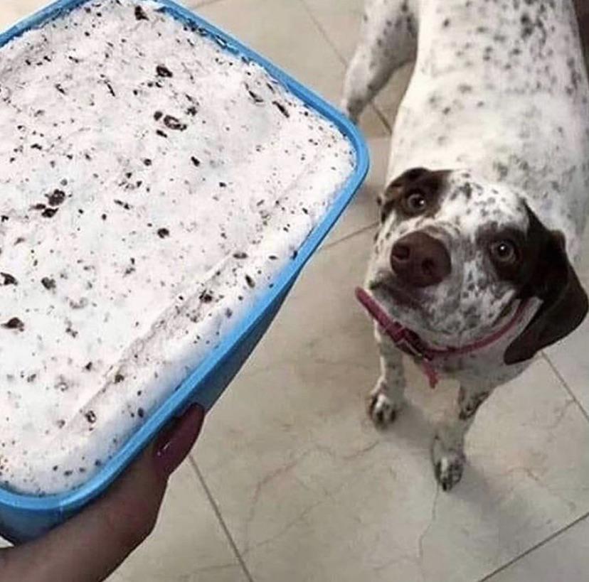 When you think they will make you into ice cream.