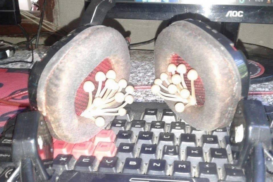 Nature always finds a way.