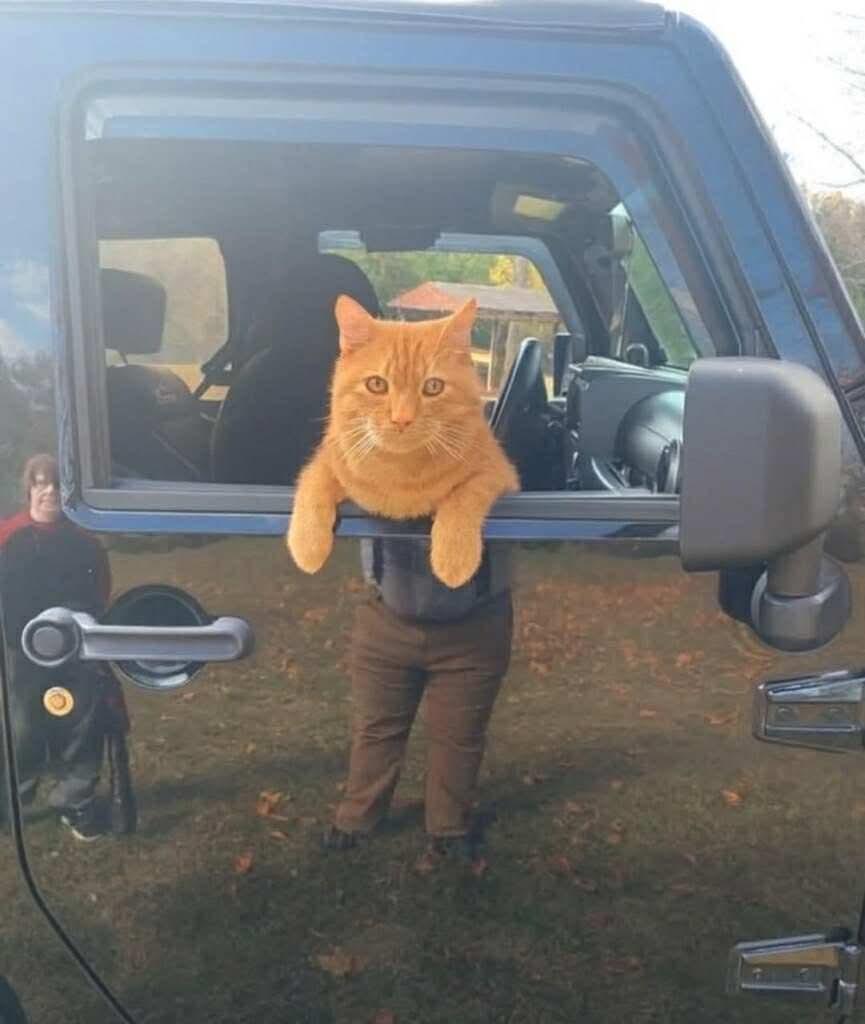 New car, half feline, half human.