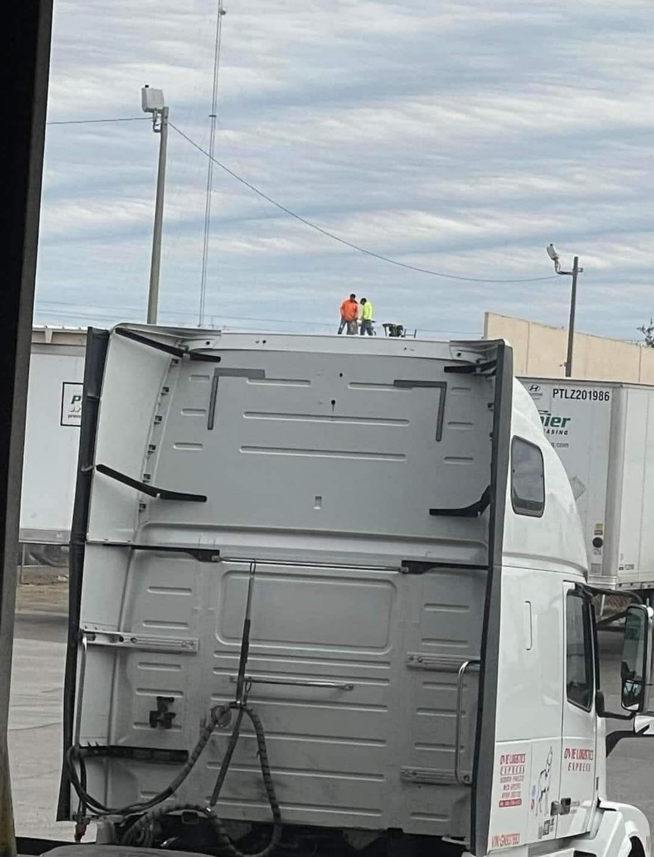 Tiny workers, giant roof.