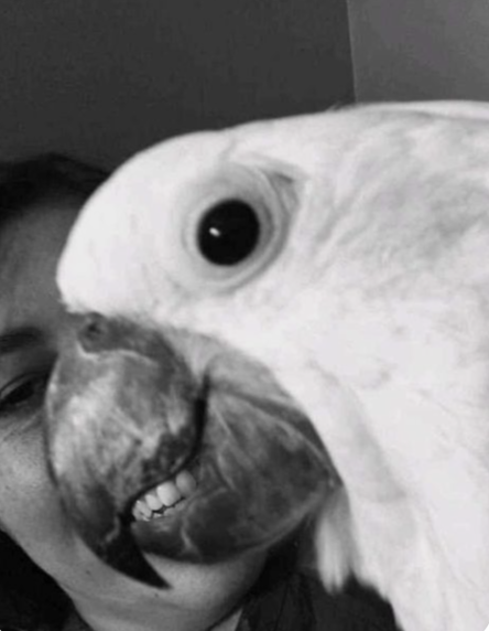 It's like he absorbed its owner.