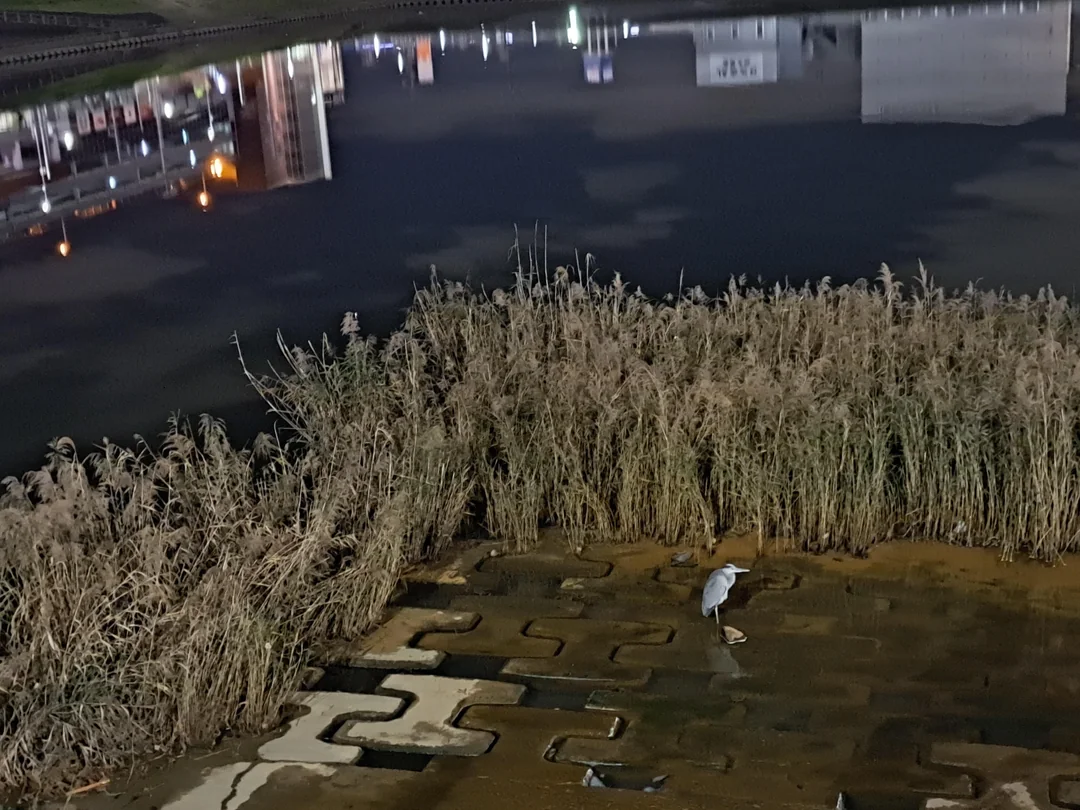 So which side are you on?