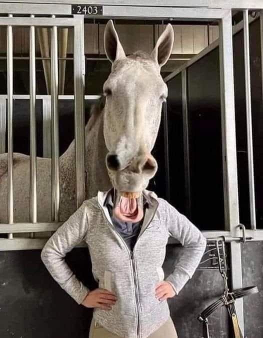 Why the Long Face? Oh.