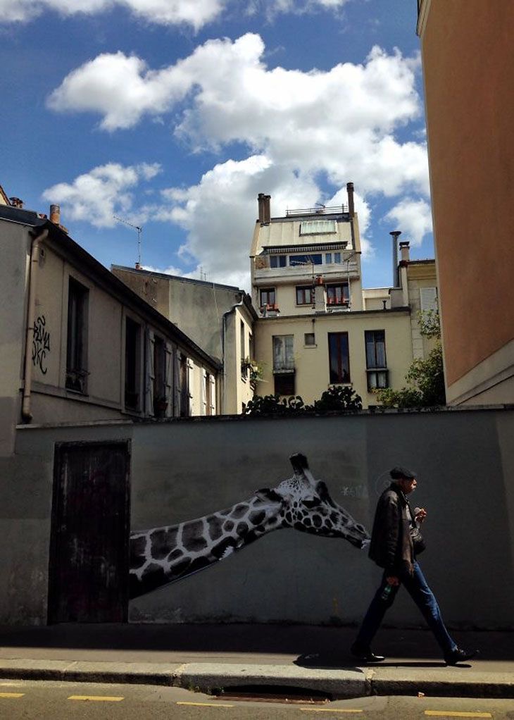 Giraffe PDA: Public Display of Affection