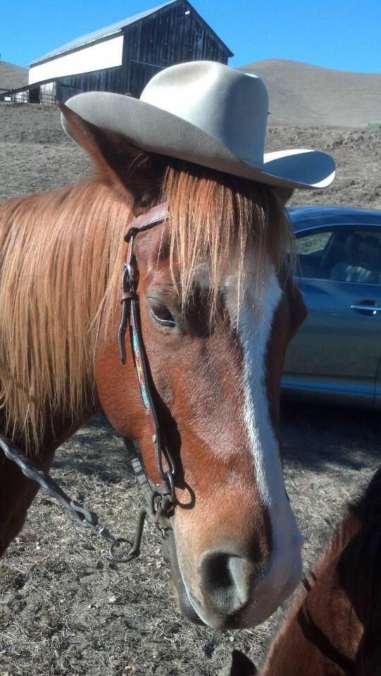 Not a Big Hat for Him.