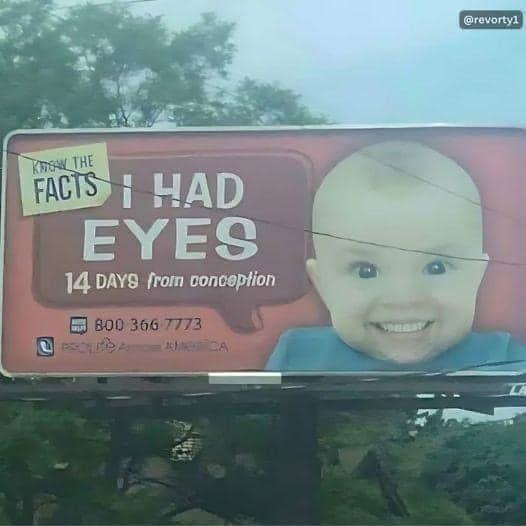 A baby who's seen too much.