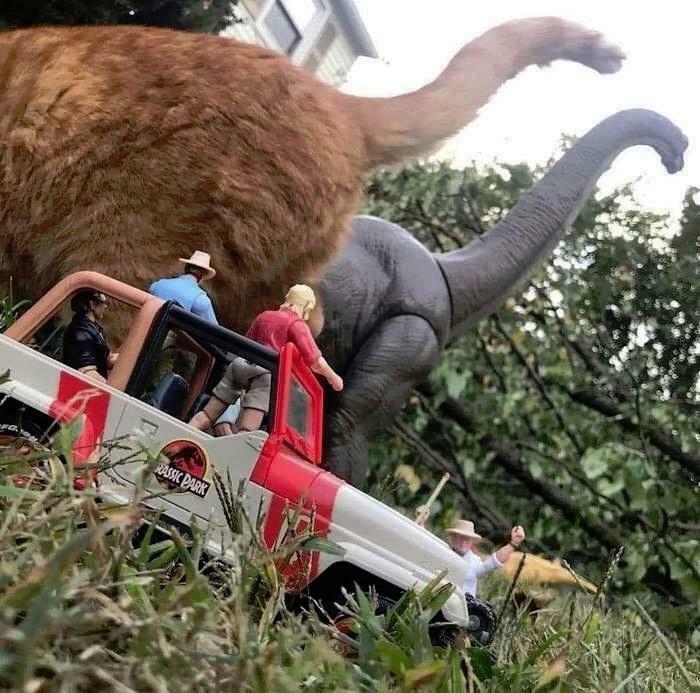 The cat is the final boss in Jurassic Park.