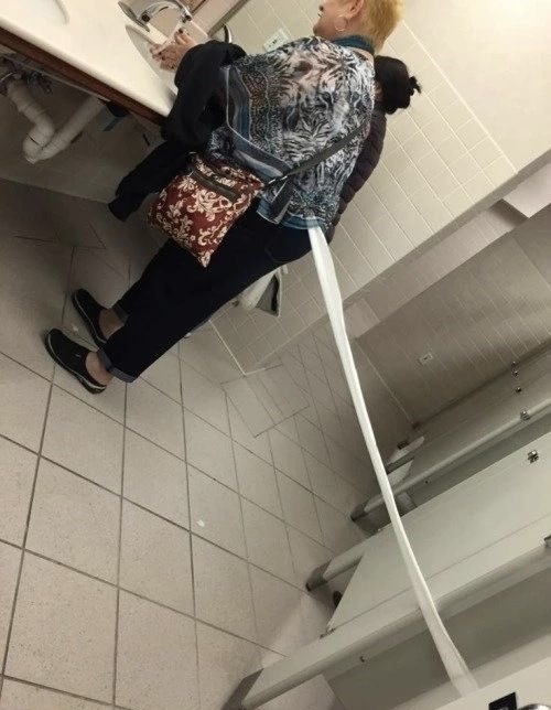 Toilet Paper Trail of Tears