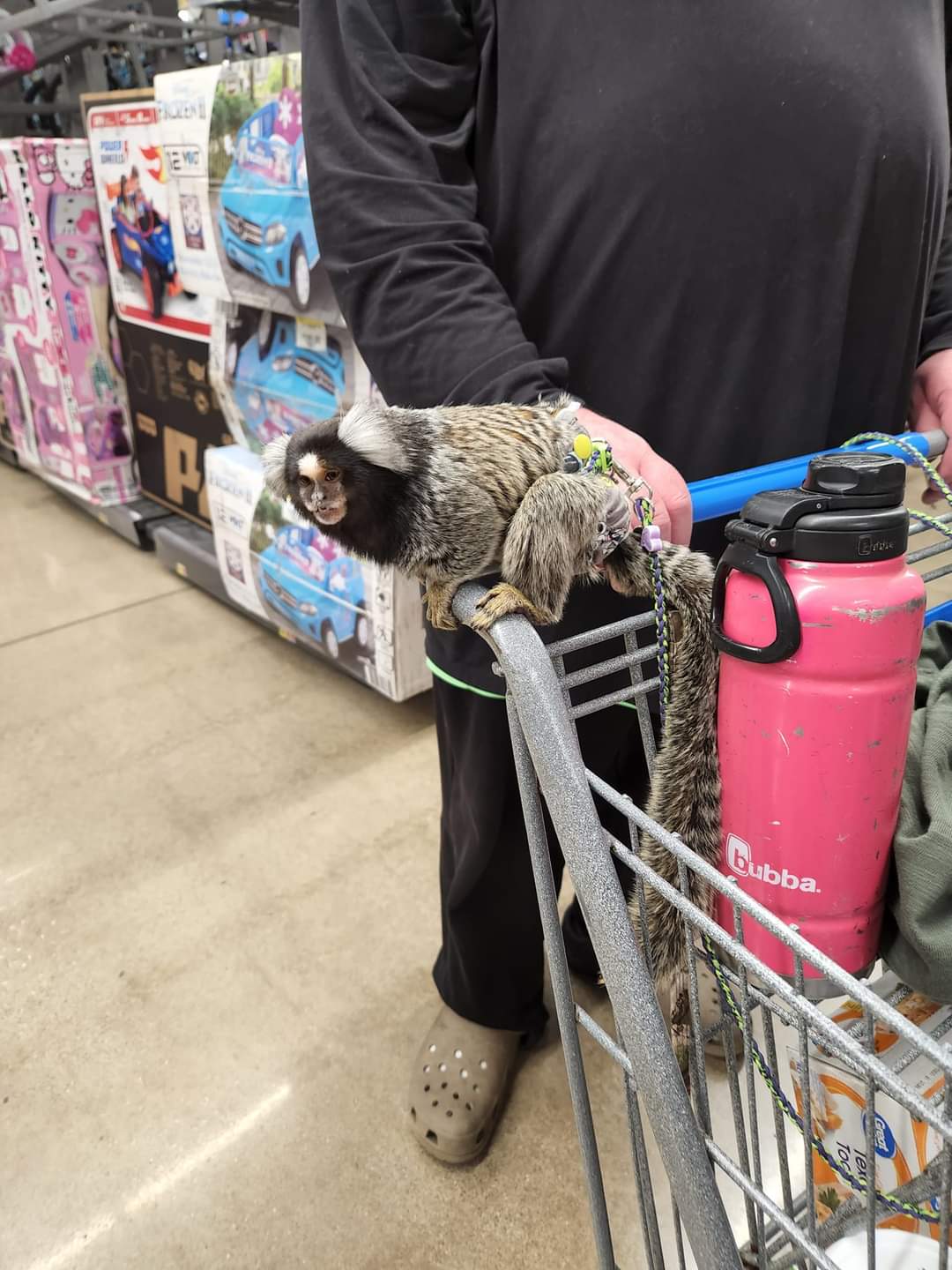 Emotional support animal is always required.