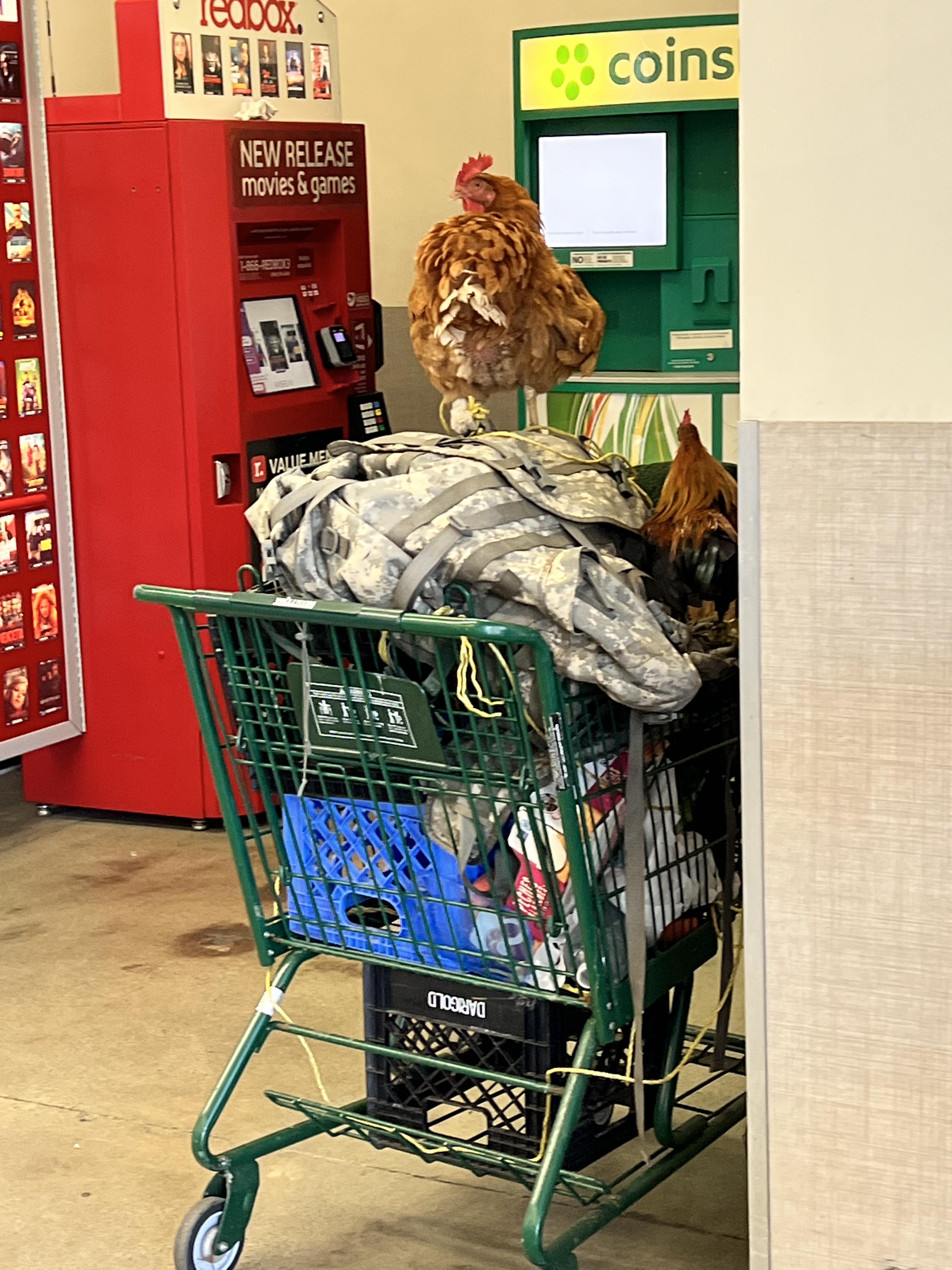 Looks like he has everything he needs.