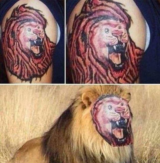Lion (Reloaded)