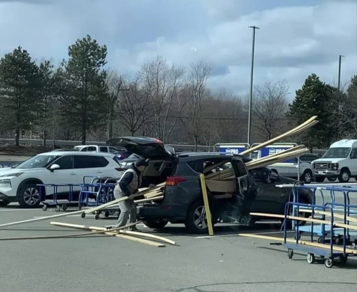 Tiny Truck, Big Logs