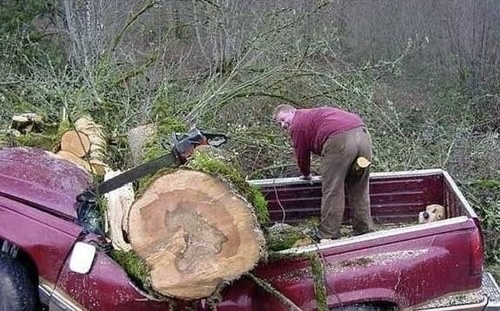 Tree-mendous Fail