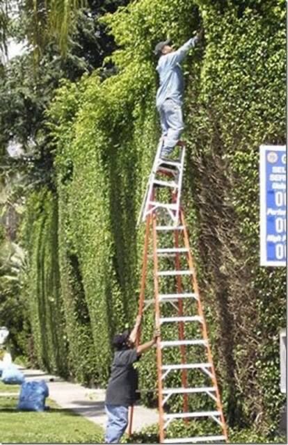 Ladder Tower of Babel