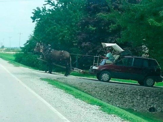 Horsepower, Literally