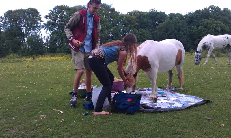 Having a picnic near animals is never a good idea.
