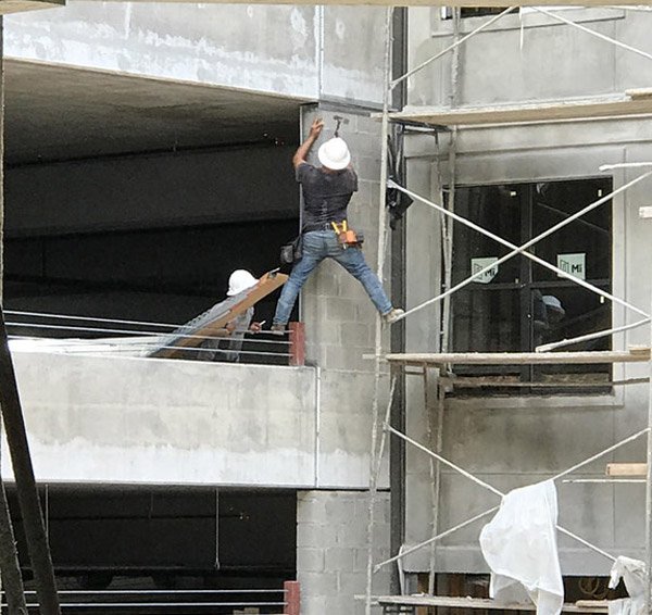 Harnesses are for people who have no confidence.