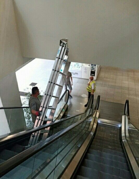 Ladder vs. Escalator