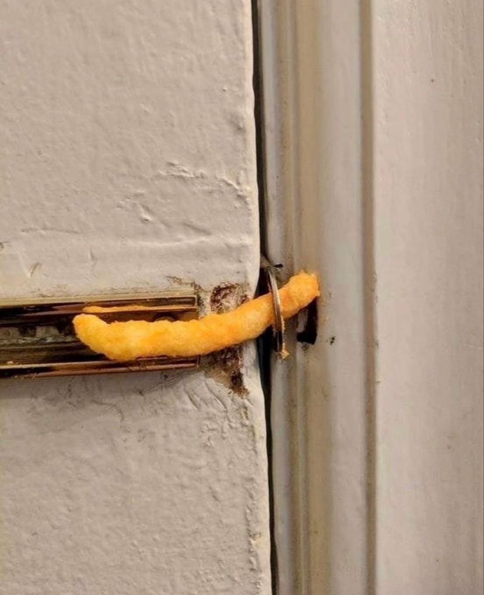 Cheeto Security System