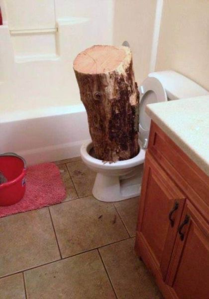 Toilet Log Jam