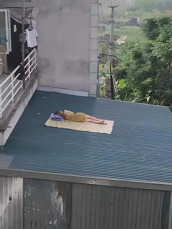 Roof Napper