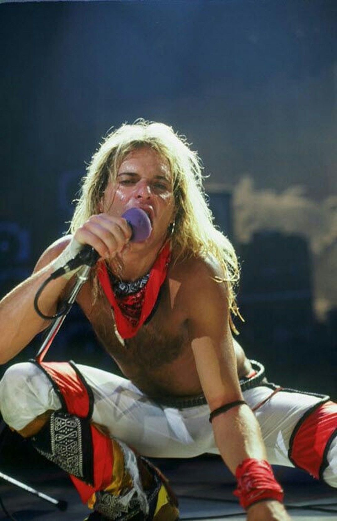 Roth as a Video-Age Icon