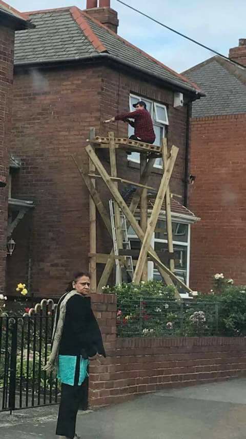 DIY Scaffold of Doom