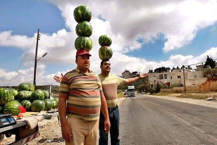 Watermelon Helmets