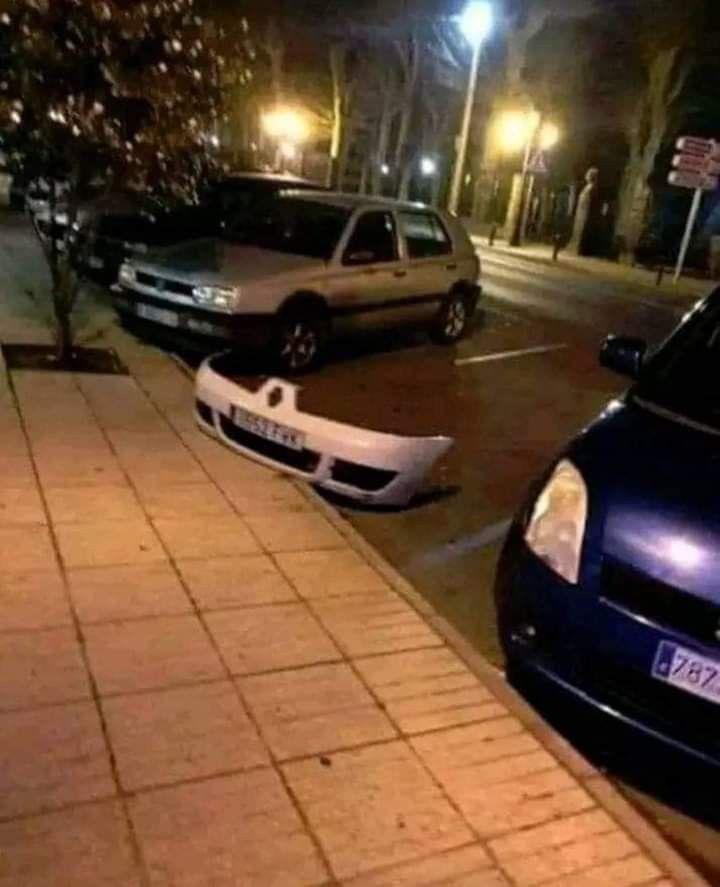 A Souvenir of Stupidity