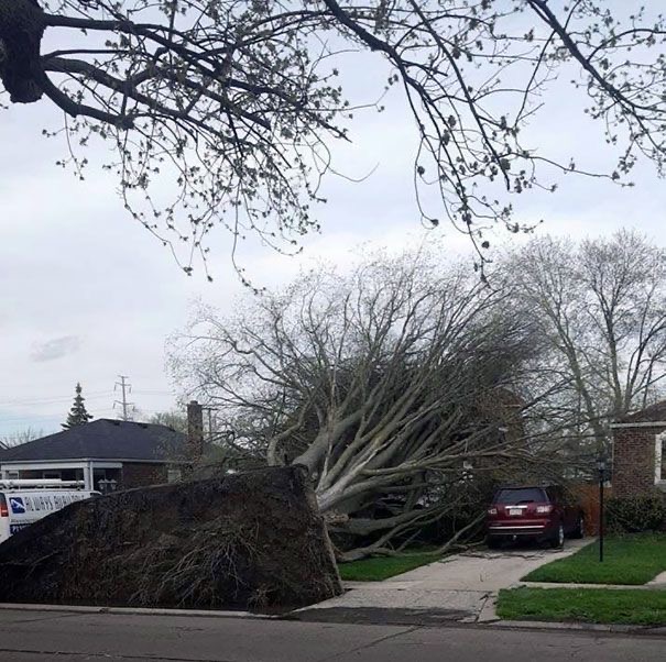 Nature Just Rage-Quit