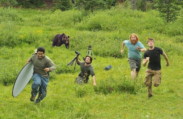 Wildlife Photographers vs. Actual Wildlife