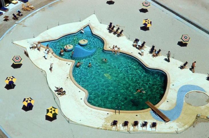 When Cats Had Their Own Pool Parties 