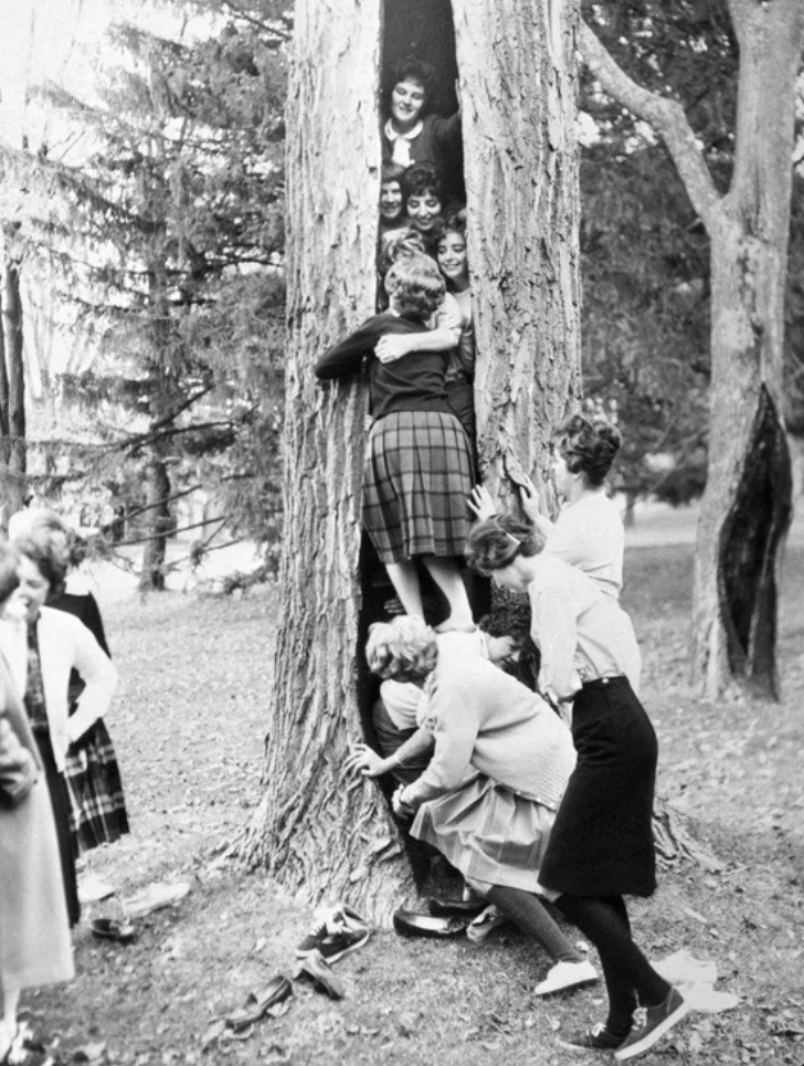 Stuffing Trees with Sorority Girls