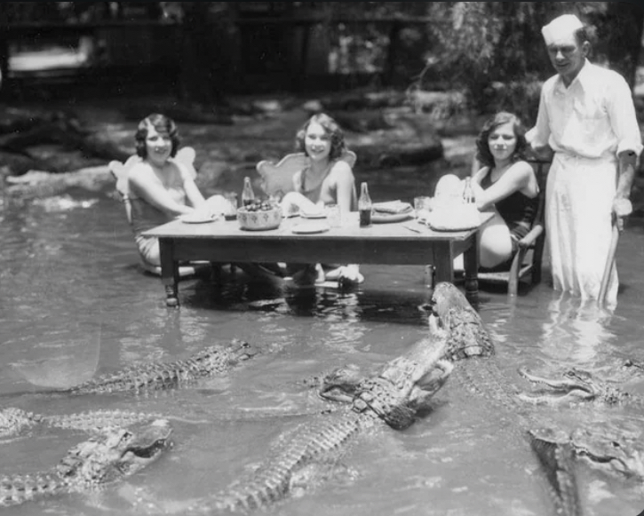 Dinner with Gators