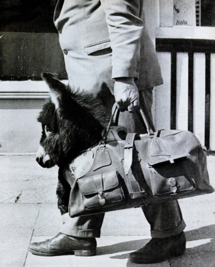 Meet the Portable Donkey