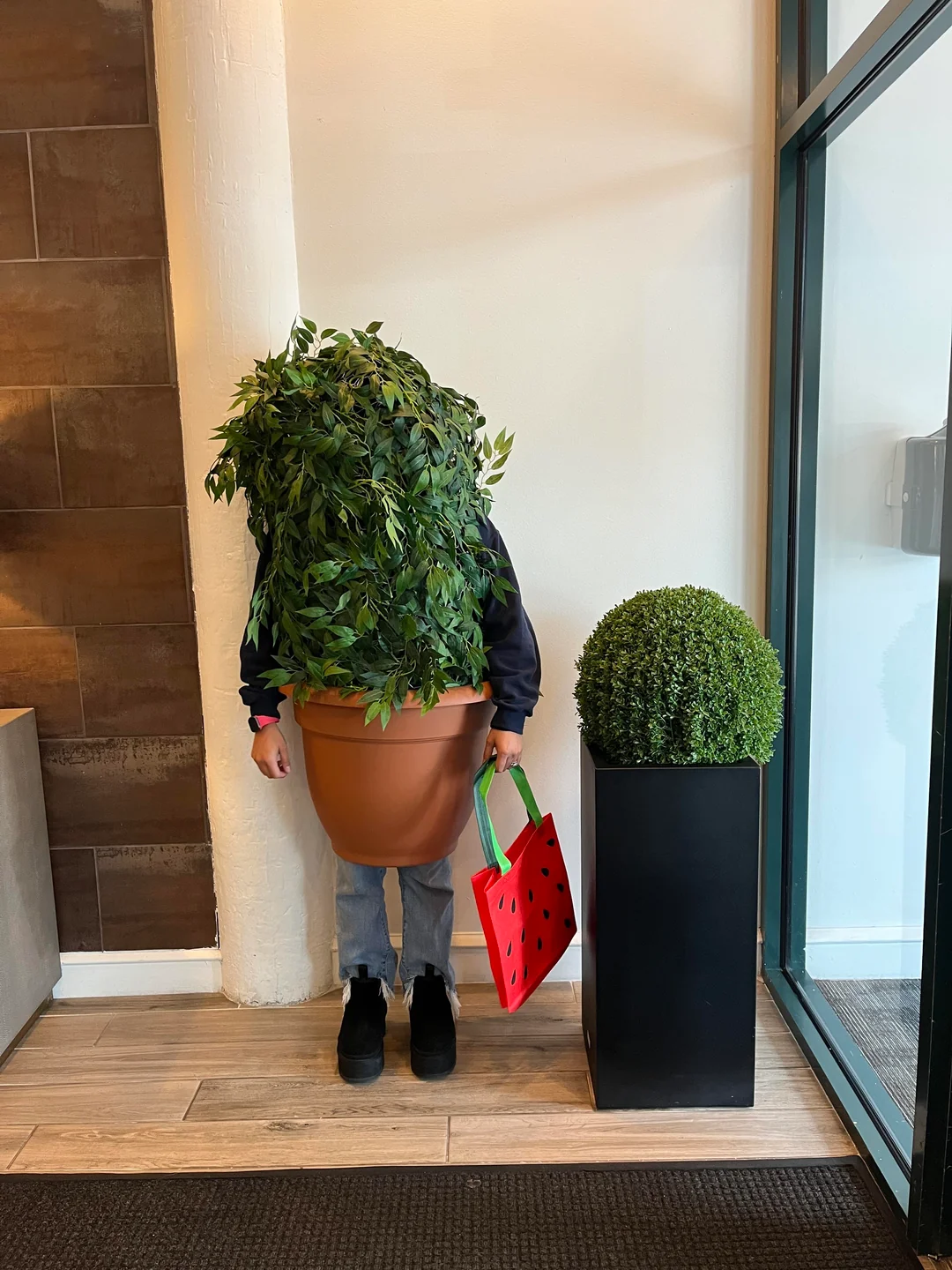 Human houseplant