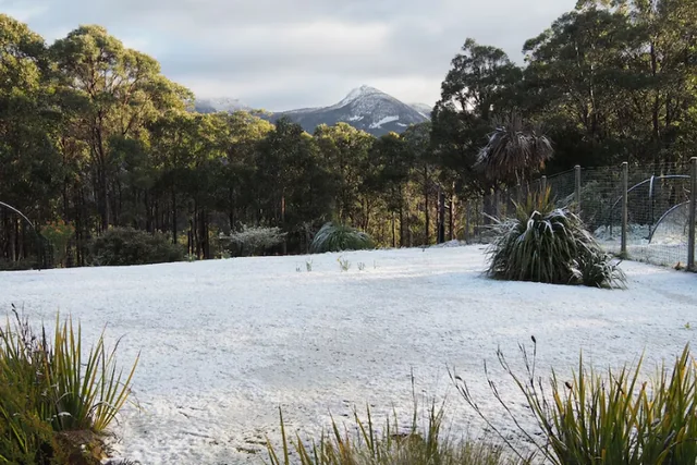 Tasmanian frost