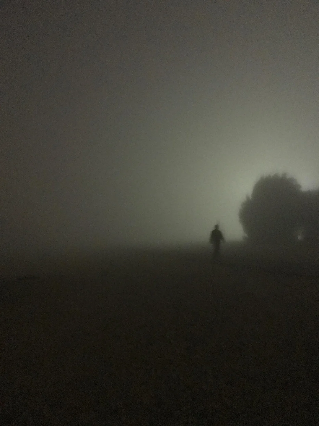 A lonesome figure in the fog